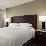 1 King Bed 1 Bedroom Suite